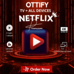 NETFLIX SUBSCRIPTION 1 MONTH [FOR MOBILE]